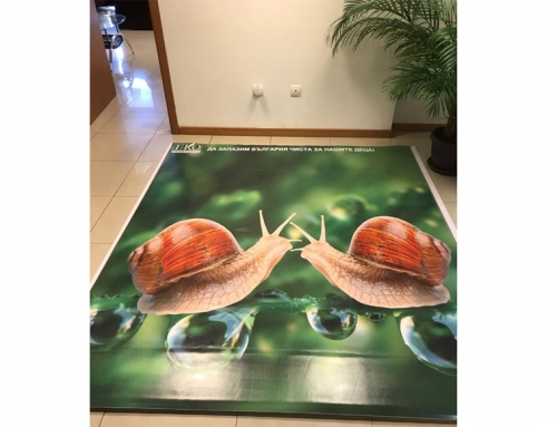 3D flooring for the company’s office ЕCOBULPACK